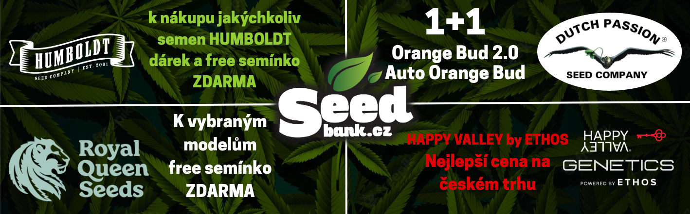 SBFS web banner (47)